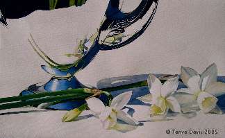 /i/gallery/narciswtmk.jpg
