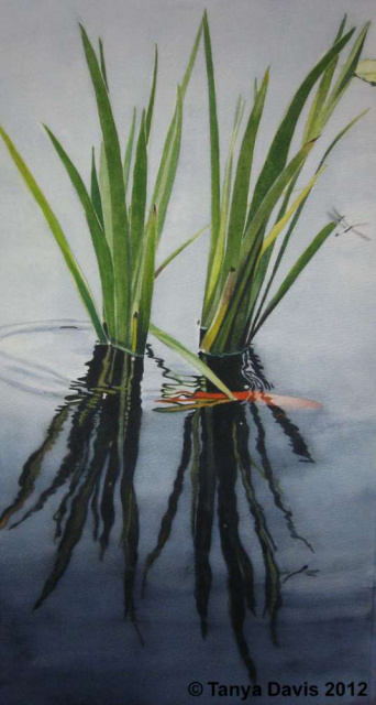 Water Grasses with Dragonfly