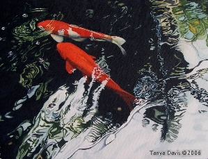 Koi in the Shadows