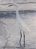 Snowy Egret in Waves